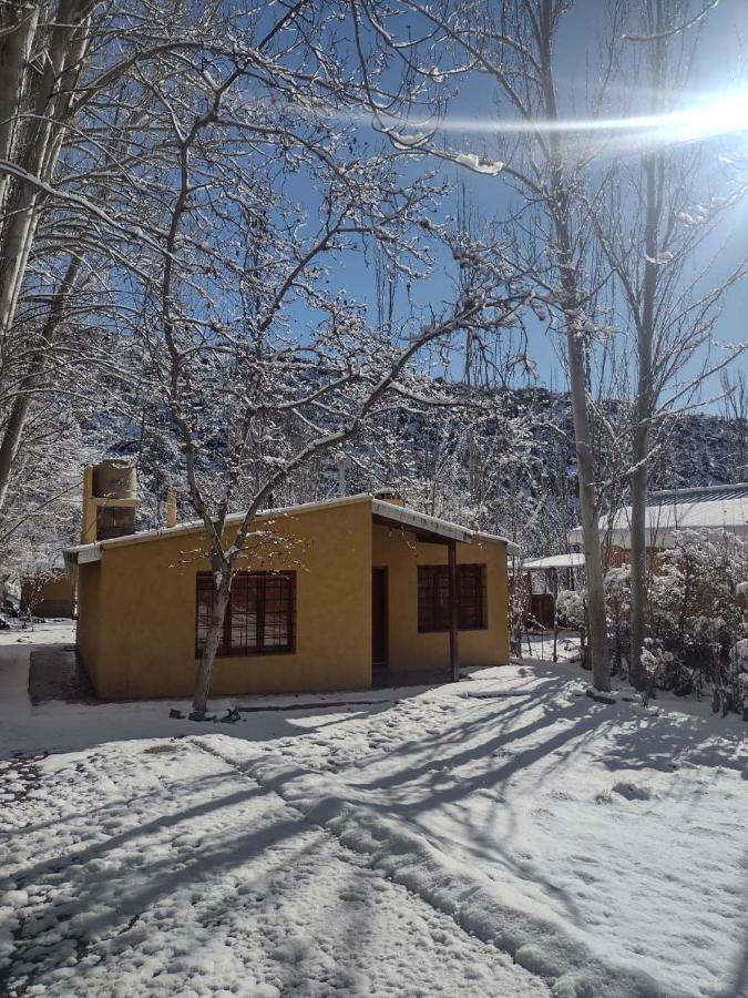 Cabana Pura Vida Potrerillos Esterno foto